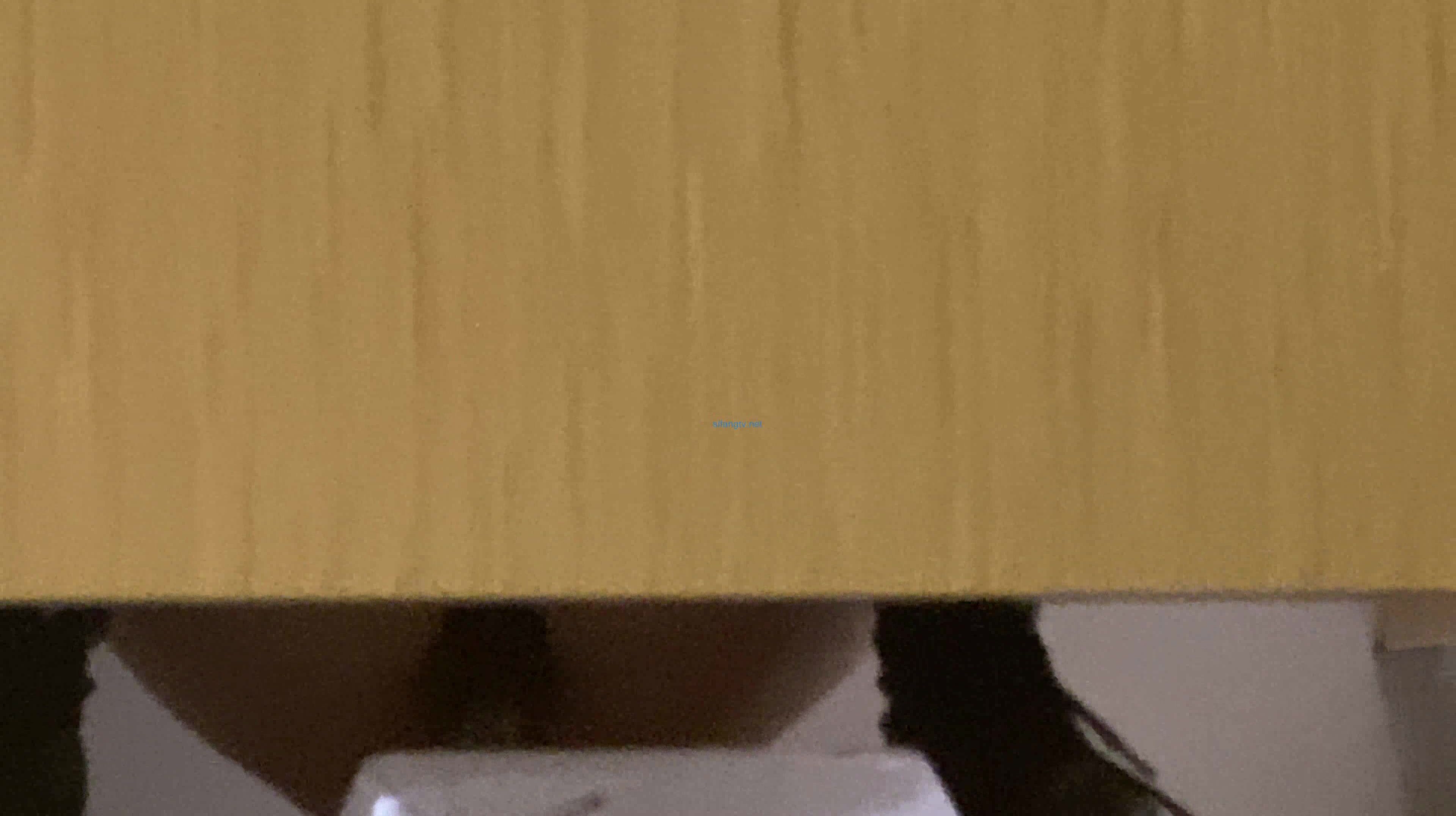 作死廁拍大神 商場美食層蹲守公共女衛連續偸拍多位小姐姐方便 (12)