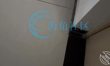 海角社區色女老鼠舔貓咪勾引哥哥亂倫 趁爸媽還沒下班，在沙發上無套強奸哥哥肏死這條小公狗