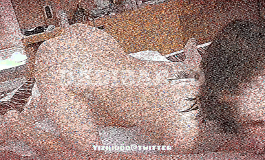 抖音80W粉絲推特網紅超萌蘿莉反差婊一隻喔私拍視圖大量流出人前露出3P喝尿野戰騷中極品 (116)