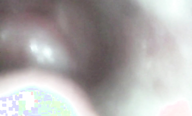 極品媚態蜜汁白虎嫩鮑美少女▌Yua▌肛塞異物陰蒂高潮 頂宮顫攣 窺視揭秘陰道內部高潮G點 (6)