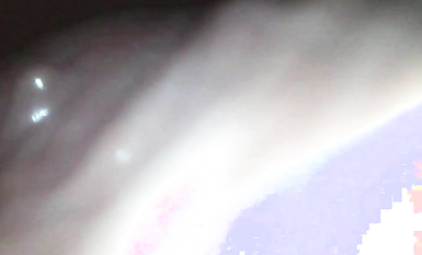 極品媚態蜜汁白虎嫩鮑美少女▌Yua▌肛塞異物陰蒂高潮 頂宮顫攣 窺視揭秘陰道內部高潮G點 (6)