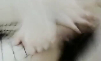 重磅推薦！淫盪肥臀人妻母狗【見過騷的 沒見過這么騷的】喜歡戶外露出，喜歡被很多男人操 (16)