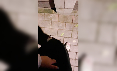 超嫩蘿莉雲集『玉紫醬+甜甜起司桃+貓七小+兔醬』極品翹乳粉穴榨乾你的精華超養眼貓七小噴泉 (13)