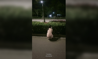 極品推特淫盪人妻性玩物▌林淑怡▌全裸壓馬路尋刺激 男公廁全裸待插後入懟穴 (6)