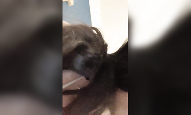 【是小甜甜啊啊 】榜一音樂才女~應求發帖~密碼房B (8)