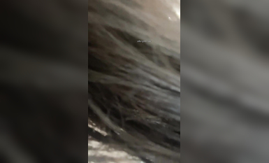 不不不不知道啊】榜一音樂才女~應求發帖~密碼房B (5)