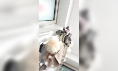 【不不不不知道啊】榜一音樂才女~應求發帖~密碼房B2 (4)