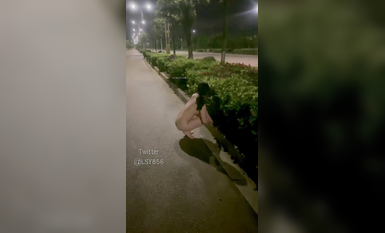 五個極品身材蘿莉反差露出萌妹 公路啪啪 戶外野戰 餐廳露出 絕版資源 極品反差【李淑怡】公路啪啪 公園露出 餐廳 (29)