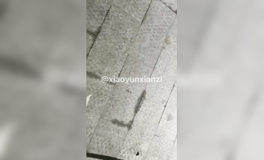 五個極品身材蘿莉反差露出萌妹 公路啪啪 戶外野戰 餐廳露出 絕版資源 小韻 (8)