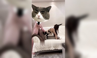 國產無碼大神玩家約操高質量女神最強性愛私拍 淺藍空乘廈航空姐反差高潮 高清面具系列-貓女-黑絲 (9)