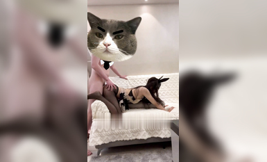 國產無碼大神玩家約操高質量女神最強性愛私拍 淺藍空乘廈航空姐反差高潮 高清面具系列-貓女-黑絲 (9)