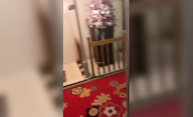 國產無碼大神玩家約操高質量女神最強性愛私拍 淺藍空乘廈航空姐反差高潮 高清網格衛衣-黑絲 (4)