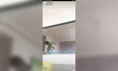 最新《瘋狂抖音》外篇之《抖音擦邊4》顏值主播各顯神通 閃現走光 刷邊瘋狂作死 扣逼漏奶 (41)