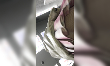 稀缺學妹專場 專業抄底靚麗學生妹JK制服 掀裙開閃光燈強抄 看的心驚肉跳太刺激 超清4K原版 (54)