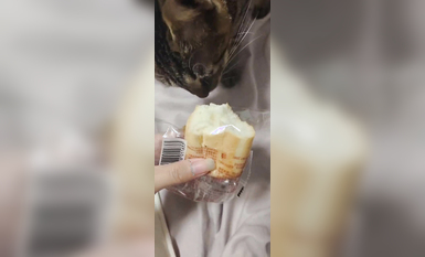 兩位高顏值COS女神『木之本瀾+桃谷若姬子』最新大尺私拍 各式動漫女神 美乳粉穴 高清 (8)