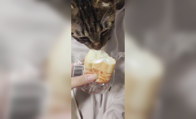 兩位高顏值COS女神『木之本瀾+桃谷若姬子』最新大尺私拍 各式動漫女神 美乳粉穴 高清 (8)