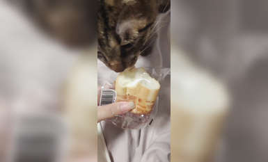 兩位高顏值COS女神『木之本瀾+桃谷若姬子』最新大尺私拍 各式動漫女神 美乳粉穴 高清 (8)